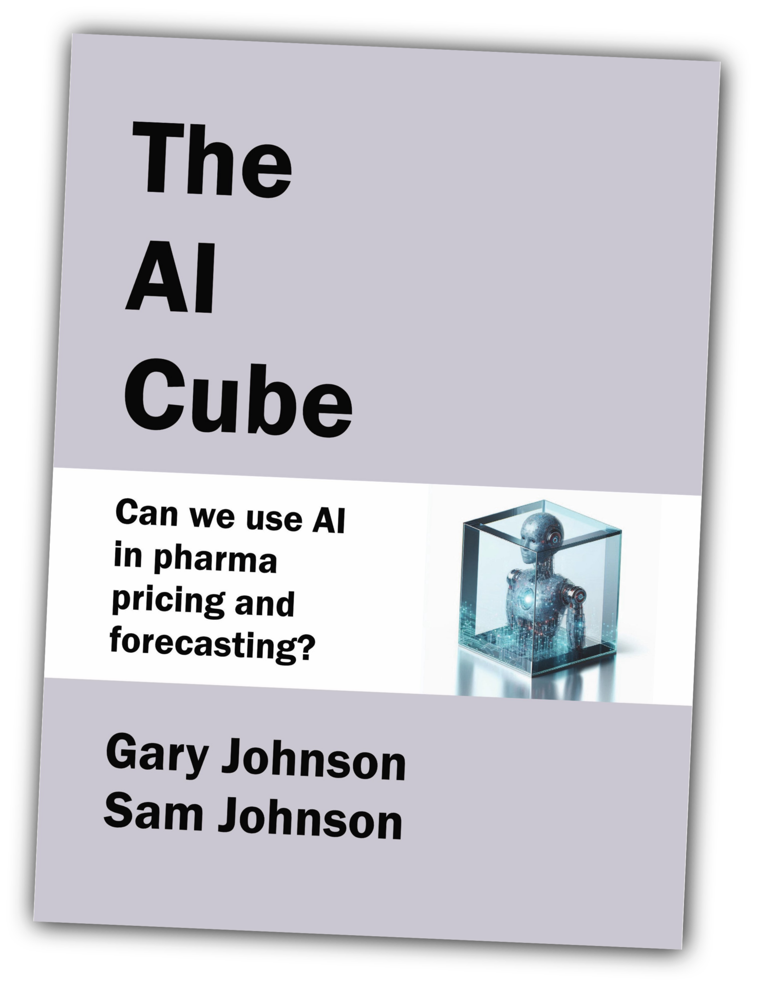 The AI Cube